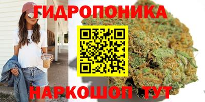 гашик Кимры